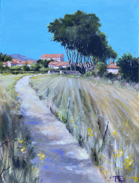 Roger FAGES - LUC sur ORBIEU (11)